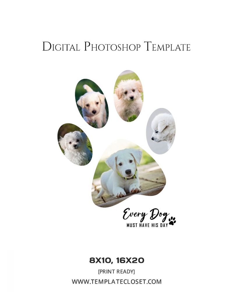 Pet Digital Photoshop Template