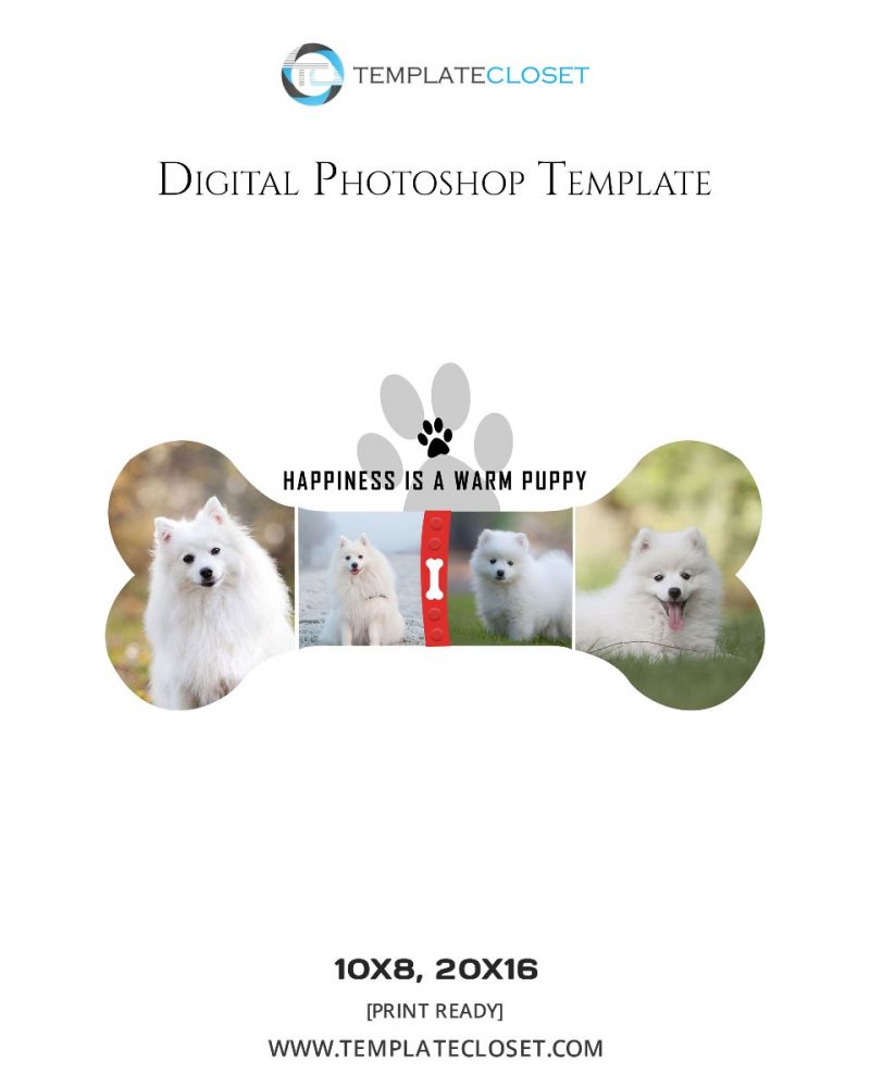 Customized Pet Photography Template