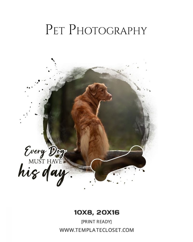Customizable Dog Photography Template