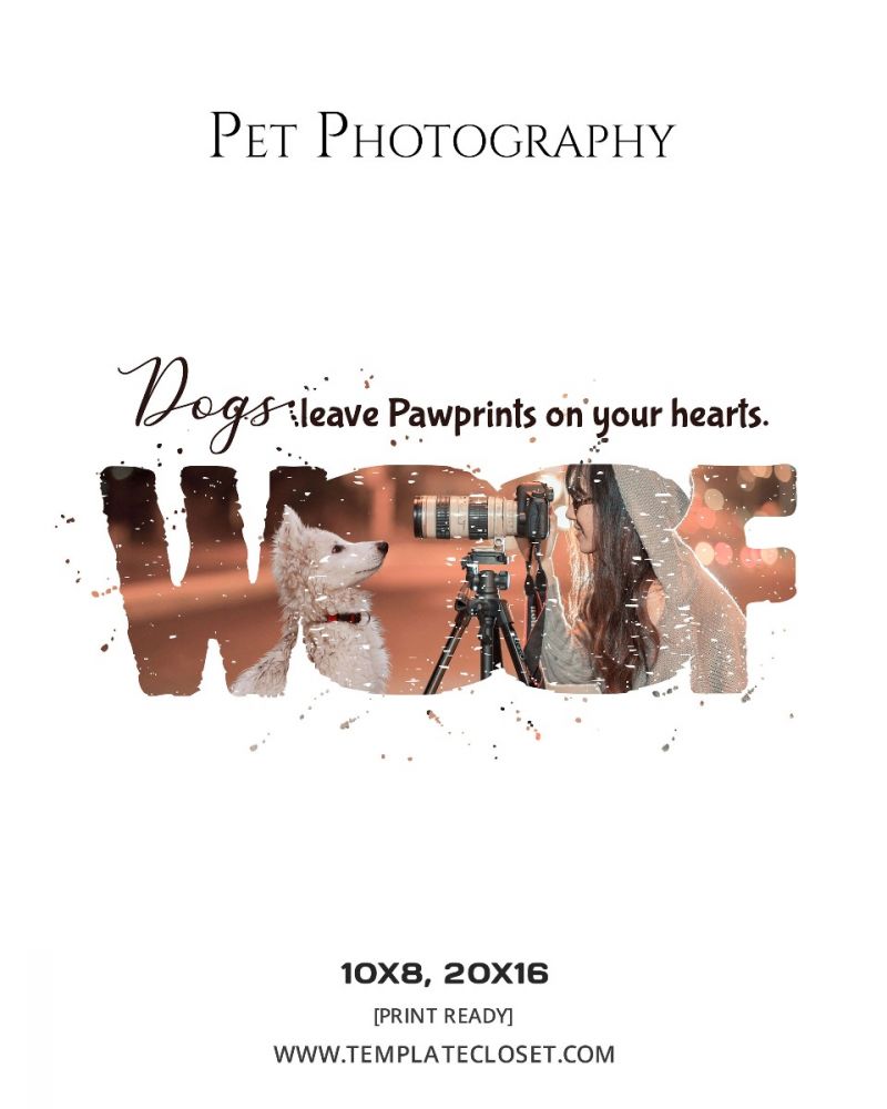 Small Dog Customized Photography Poster