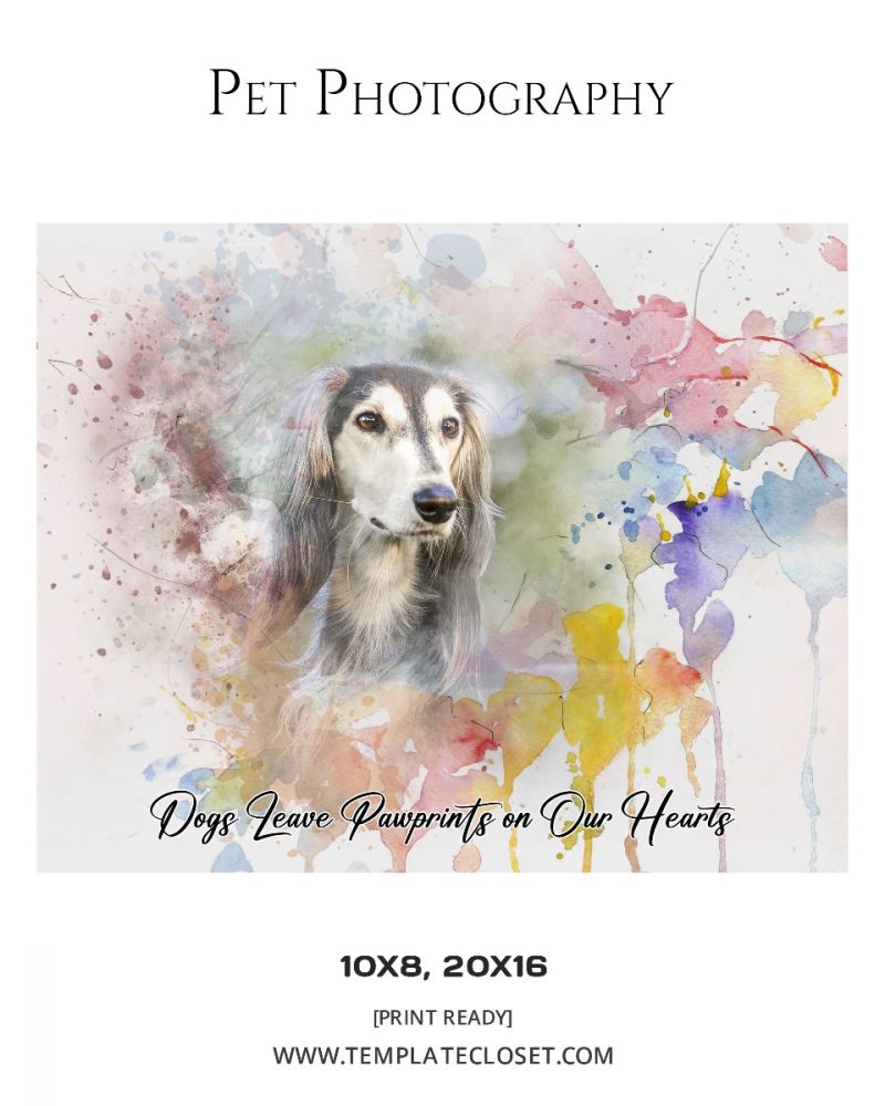 Water Color Pet Photography Template