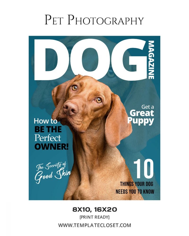 Pet Magazine Cover Photoshop Template