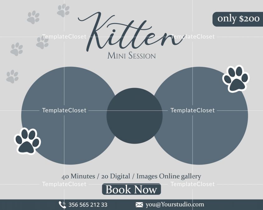 Kitten Mini Session Photography Template