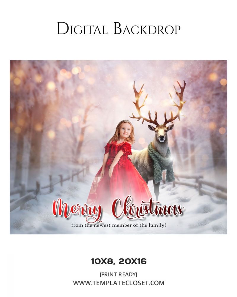 Awesome Christmas Digital Backdrop