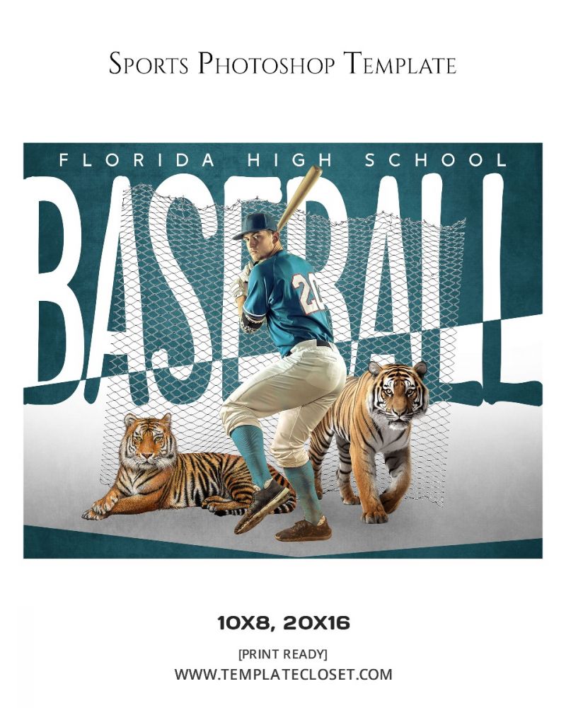 Baseball Lions Customized Photography Template