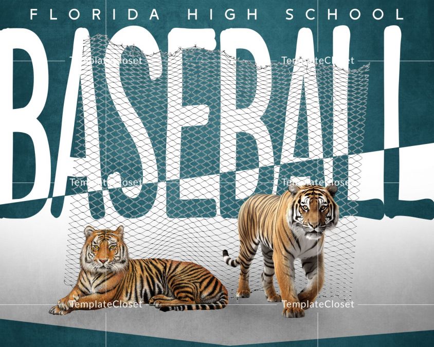 Baseball Lions Customized Photography Template