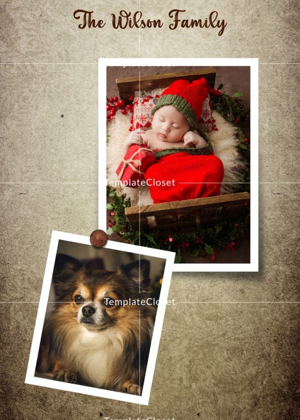 Merry Christmas Photography
